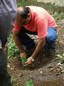 Tree Plantation by Shri. Pramod Gawande, Principal.